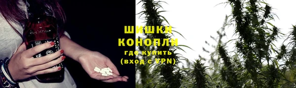 хмурый Михайловск