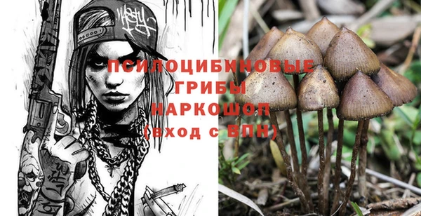 эйфоретик Навашино