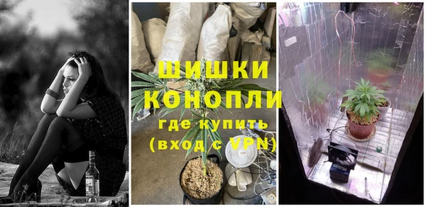 первитин Михайлов