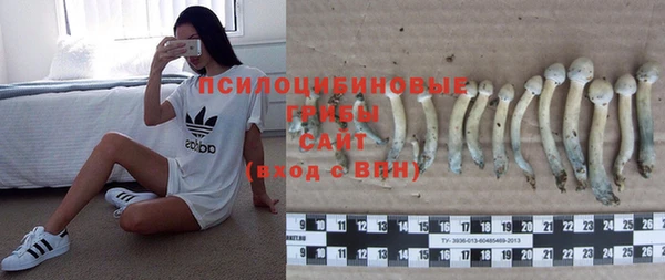 индика Наволоки