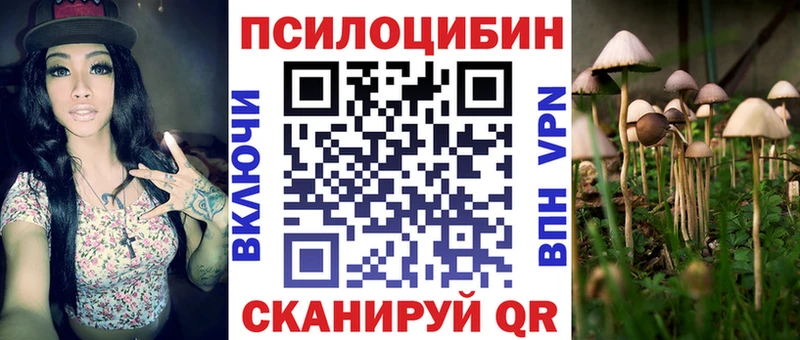 blacksprut онион  Буй  Галлюциногенные грибы ЛСД  где купить наркоту 